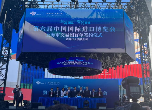 放眼世界，只有中國可以辦進博會這樣的展會——從丁一凡觀點看軟件代理服務的機遇與前景